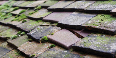 Colesden roof repair costs